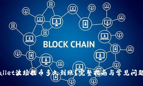 TPWallet波场提币多久到账？完整指南与常见问题解答