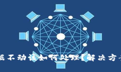 TPWallet数据不动该如何处理？解决方案与技巧详解