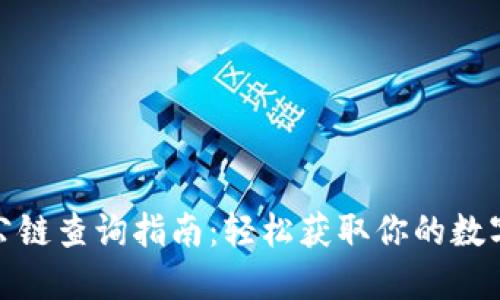 : 冷钱包公链查询指南：轻松获取你的数字资产信息