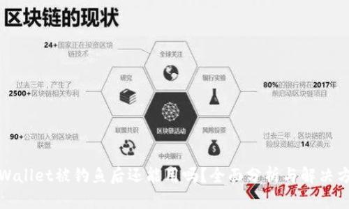 TPWallet被钓鱼后还能用吗？全面分析与解决方案