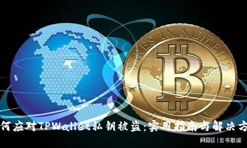 如何应对TPWallet私钥被盗：实用指南与解决方案