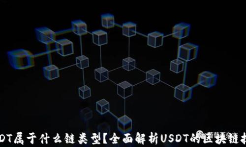 
USDT属于什么链类型？全面解析USDT的区块链技术