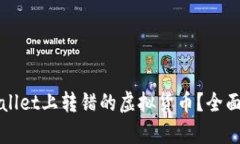 如何找回在TPWallet上转错的虚拟货币？全面解析与